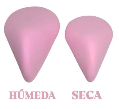 BIG AF💪🏽 XL Sponge & Brush Duo