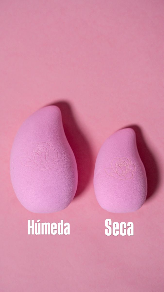 BECA SPONGE🌷🧽